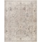 Livabliss Davina BOCC-2302 Machine Crafted Area Rug BOCC2302-71010 - alternate 1